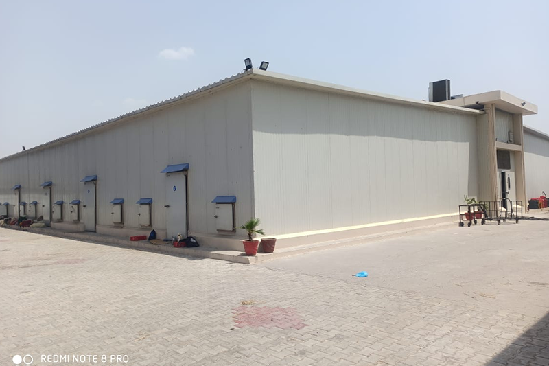 Complete Mushroom Farm Design and Setup by Shakti Industries